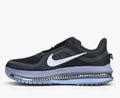 Nike Pegasus Premium Anthracite running shoe