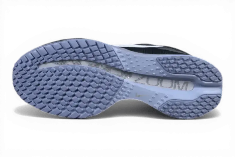 Nike Pegasus Premium Anthracite Nike