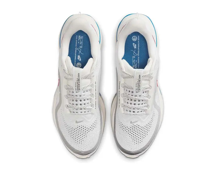 Nike Pegasus Premium Forrest Gump Nike