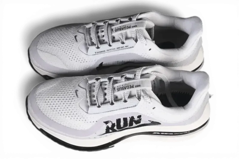 Nike Pegasus Premium Run Nike