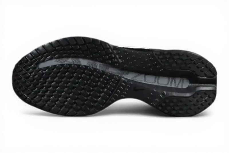 Nike Pegasus Premium SP Black White Silver Nike