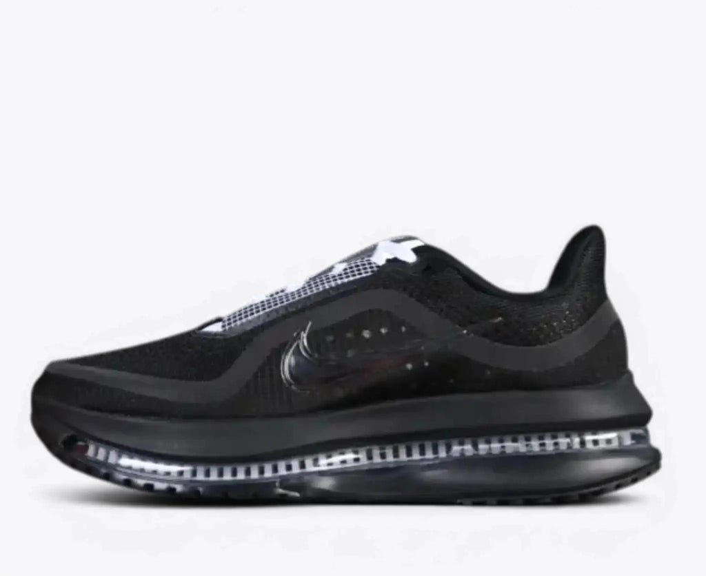 Nike Pegasus Premium SP Black White Silver running shoe