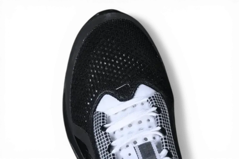 Nike Pegasus Premium SP Black White Silver Nike