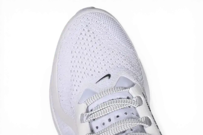 Nike Pegasus Premium White Metallic Silver Nike